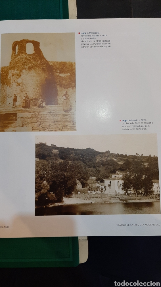Sammelleidenschaft Papier: LUGO.LAMINAS DE LIBRO MODERNO FITOS 1898 1895
