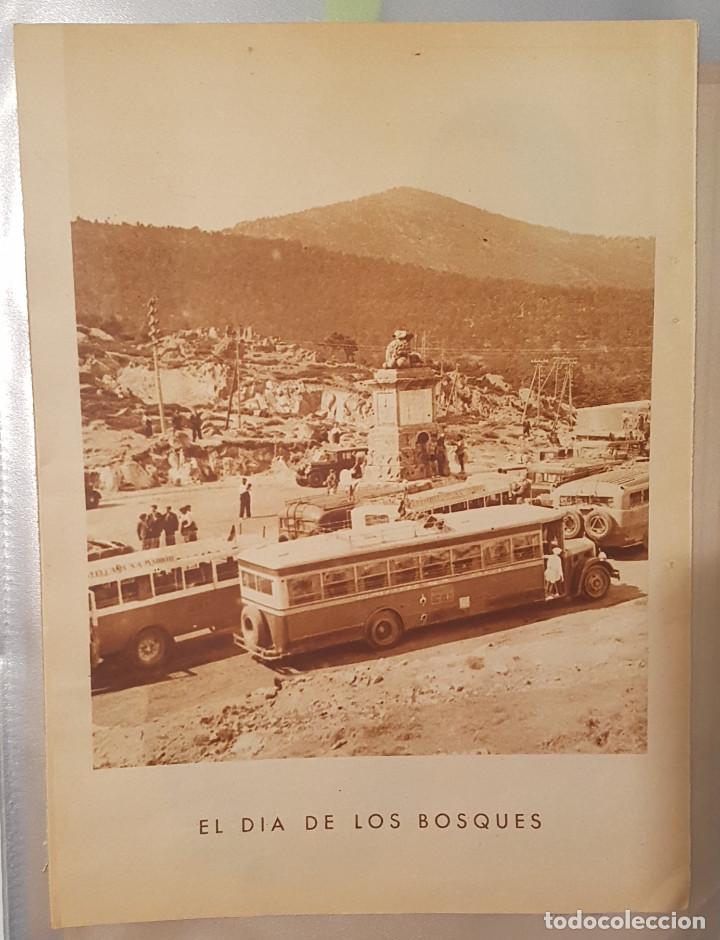 Coleccionismo: 1933. Excursi&oacute;n CENTRO SEGOVIANO el D&iacute;a de los Bosques (Navacerrada,La Granja) (Segovia) - Foto 1