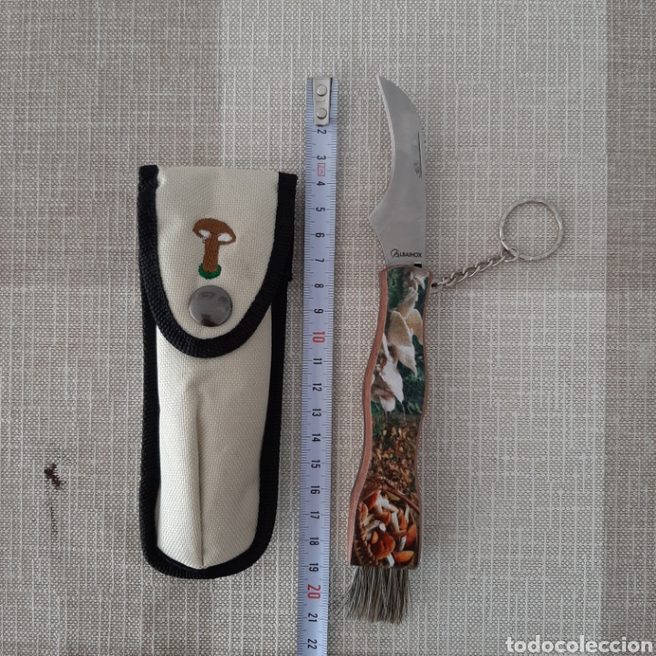 Coleccionismo: Navaja para setas. - Foto 2