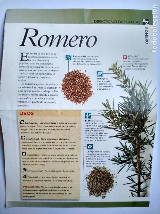 Sammelleidenschaft Papier: FASCICULO DIRECTORIO DE PLANTAS ROMERO PLANETA D'AGOSTINI