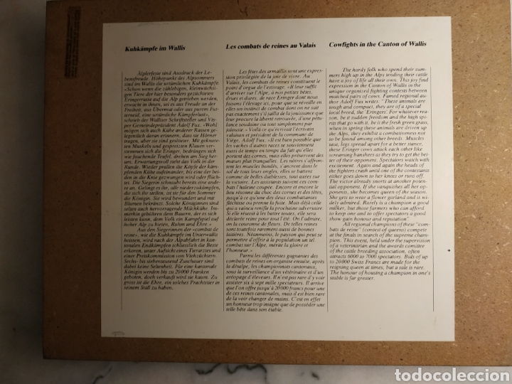 Coleccionismo: caja de madera de puros Rossli Fabula - Foto 2