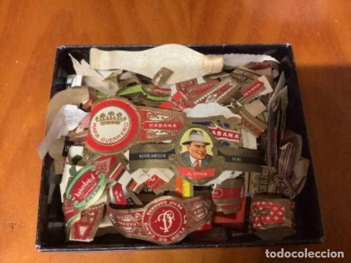 Coleccionismo: LOTE DE VITOLAS DE PUROS - Foto 1