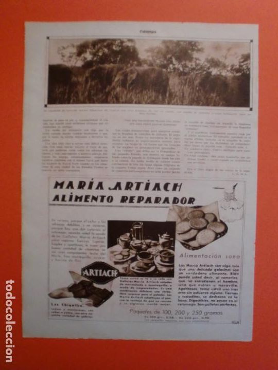 Colecionismo: GALLETAS CON LECHE FRESCA MARIA Y CHIQUILIN DE ARTIACH - 25/7/1931