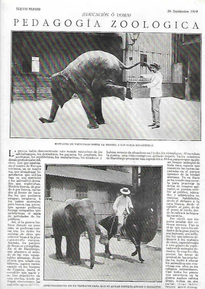 Colecionismo: 1919 RECORTE PRENSA PEDAGOGIA ZOOLOGICA EDUCACION O DOMA DOMADOR ANIMALES ELEFANTE PERROS CABALLOS
