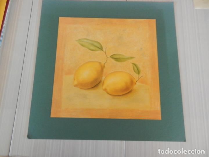 Coleccionismo: L&Aacute;MINA - LIMONES - OPTIMA INTERNATIONAL ART PRINTS - 2002 - MIDE 25X25 CM.