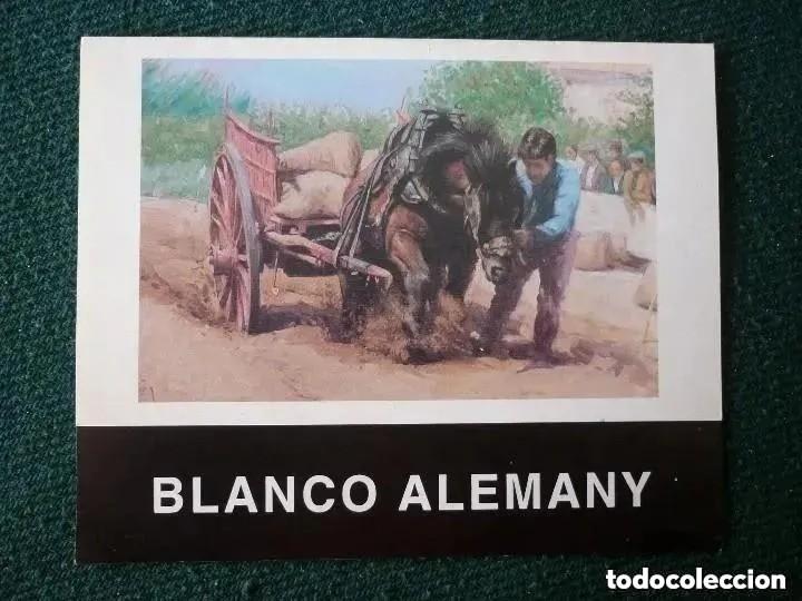 Coleccionismo: folleto exposici&oacute;n de blanco alemany - 5 al 14 febrero 1993 - ontinyent