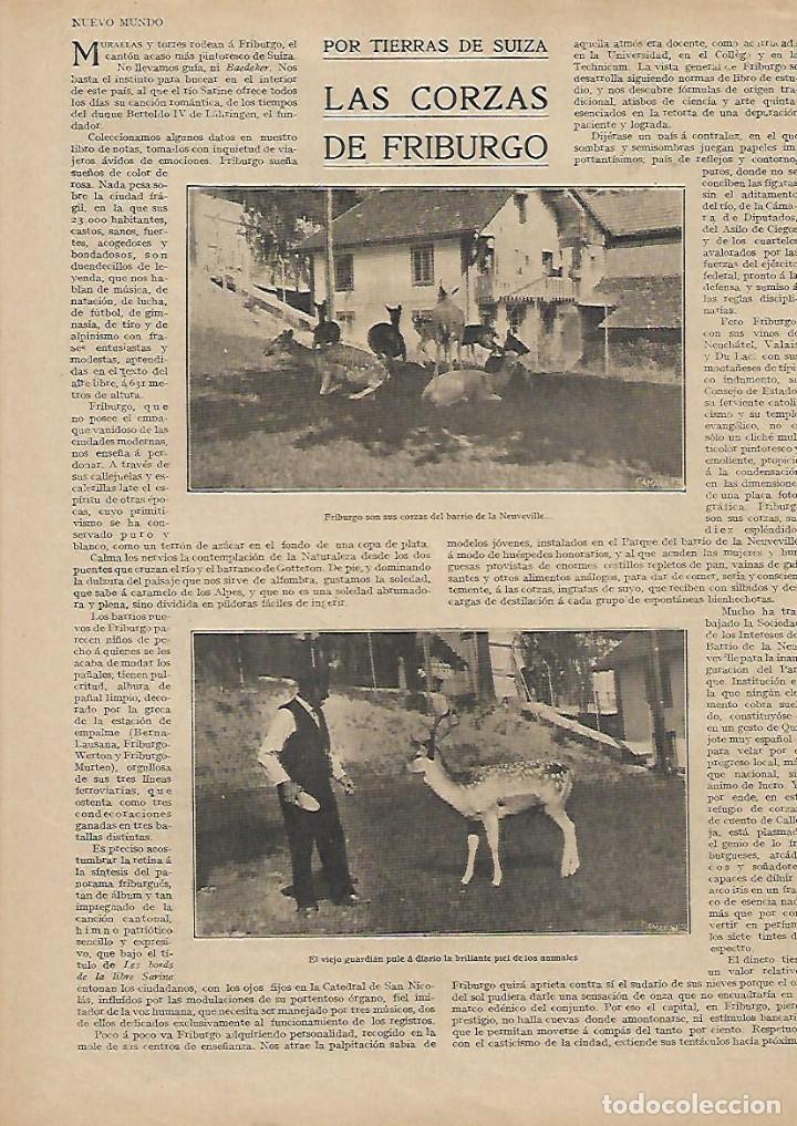 Collezionismo: A&Ntilde;O 1930 RECORTE PRENSA LAS CORZAS DE FRIBURGO SUIZA ANIMALES BARRIO DE LA NEUVEVILLE