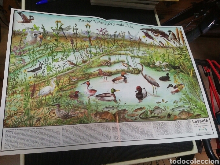 Coleccionismo: 12 l&aacute;minas coleccionables flora y fauna Comunidad Valenciana