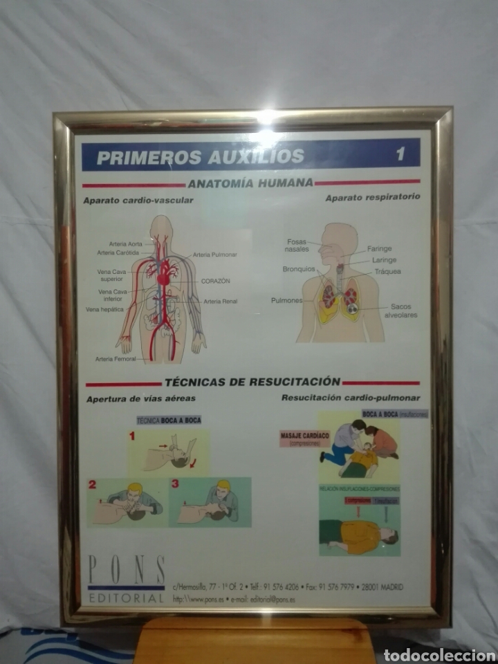 Coleccionismo: LAMINA DID&Aacute;CTICA DE AUTOESCUELA. PRIMEROS AUXILIOS. A&Ntilde;OS 80. EDITORIAL PONS.