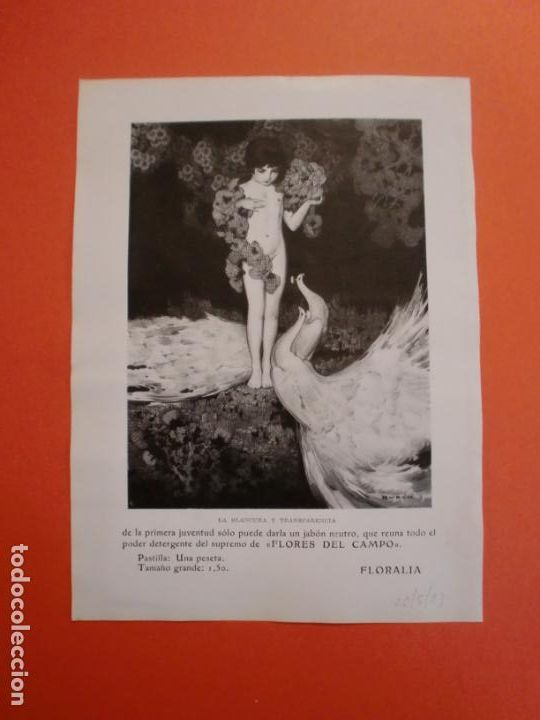 Collezionismo: JAB&Oacute;N NEUTRO FLORES DEL CAMPO DIBUJO DE DUBON - 20/5/1923
