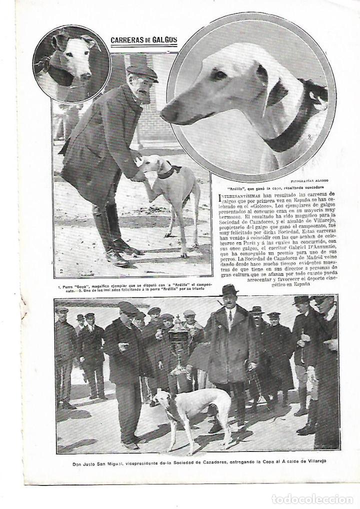 Collectionnisme: A&Ntilde;O 1913 RECORTE PRENSA CARRERA DE GALGOS EL GOLOSO MADRID JUSTO SAN MIGUEL PERRO GOYA PERRA ARDILLA