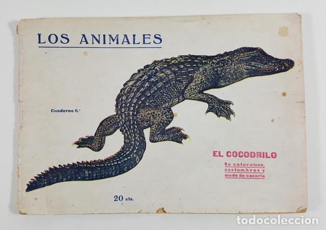 Collezionismo: LOS ANIMALES, CUADERNO 6&ordm;: EL COCODRILO, SU NATURALEZA, COSTUMBRES Y MODO DE CAZARLO, PRENSA POPULAR