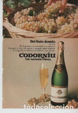 Coleccionismo: ANUNCIO PUBLICIDAD CAVA CODORNIU