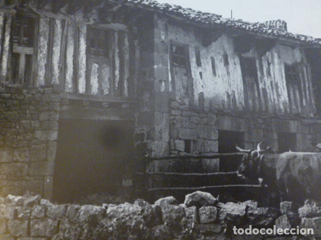 Collectionnisme: BUSTASUR CANTABRIA ANTIGUA LAMINA