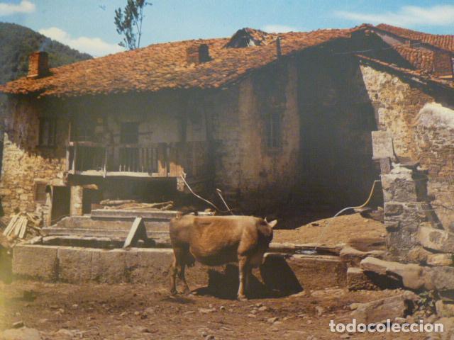Collectionnisme: VALDEPRADO PESAGUERO CANTABRIA ANTIGUA LAMINA