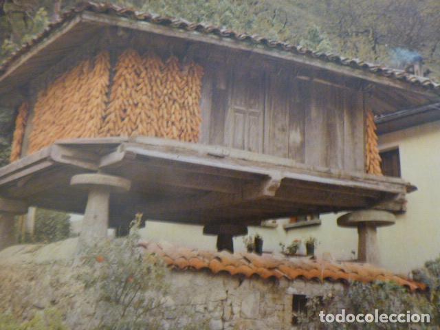 Sammelleidenschaft Papier: OMEDINA ASTURIAS ANTIGUA LAMINA