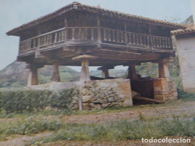 Collezionismo: OMEDINA ASTURIAS ANTIGUA LAMINA