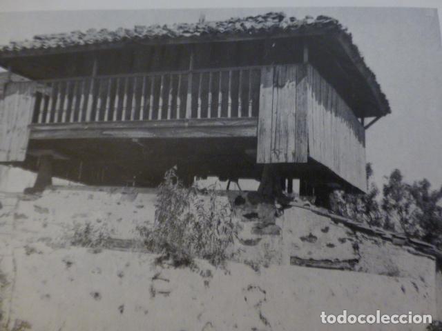 Collecting paper: BALLOTA ASTURIAS ANTIGUA LAMINA