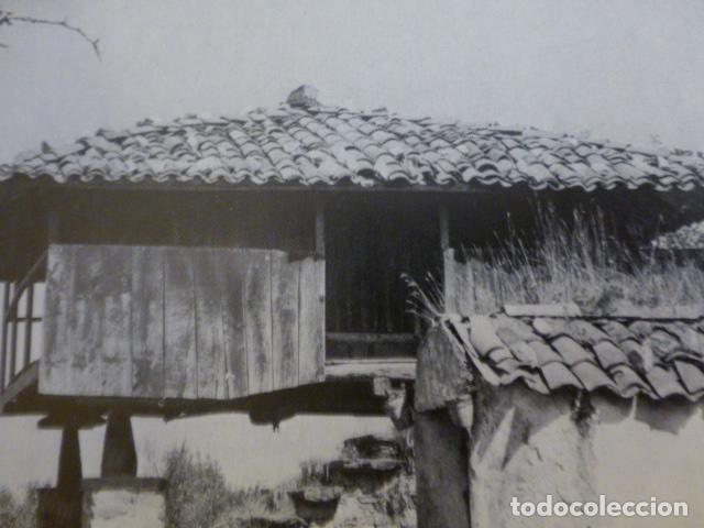 Sammelleidenschaft Papier: BALLOTA ASTURIAS ANTIGUA LAMINA