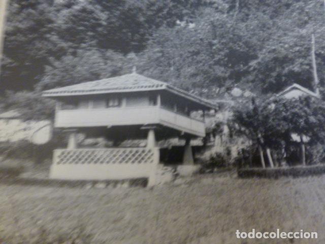 Collectionnisme: RIBADEO LUGO ANTIGUA LAMINA