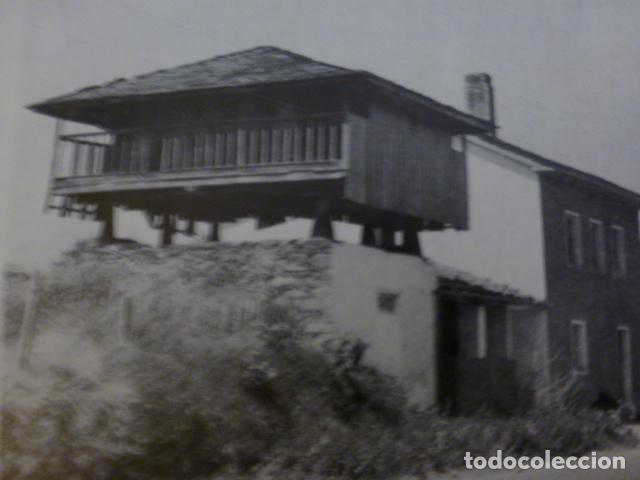 Sammelleidenschaft Papier: BALLOTA ASTURIAS ANTIGUA LAMINA
