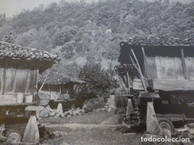 Collecting paper: ESPINAREDO ASTURIAS ANTIGUA LAMINA