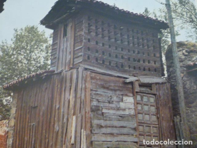 Collezionismo: FIGAREDO ASTURIAS ANTIGUA LAMINA