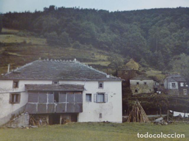Coleccionismo: GRANDAS DE SALIME ASTURIAS ANTIGUA LAMINA
