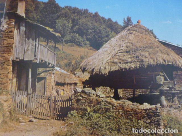 Collectionnisme: LIBER LUGO ANTIGUA LAMINA