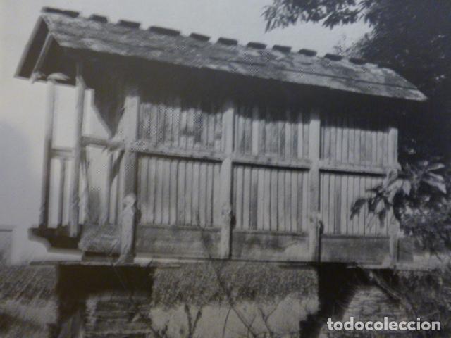 Collectionnisme: DICTRIZ LUGO ANTIGUA LAMINA