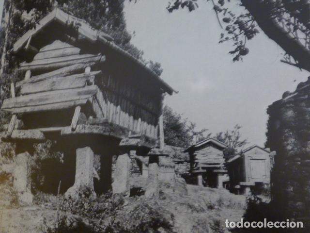 Collectionnisme: RIVAS PONTEVEDRA ANTIGUA LAMINA