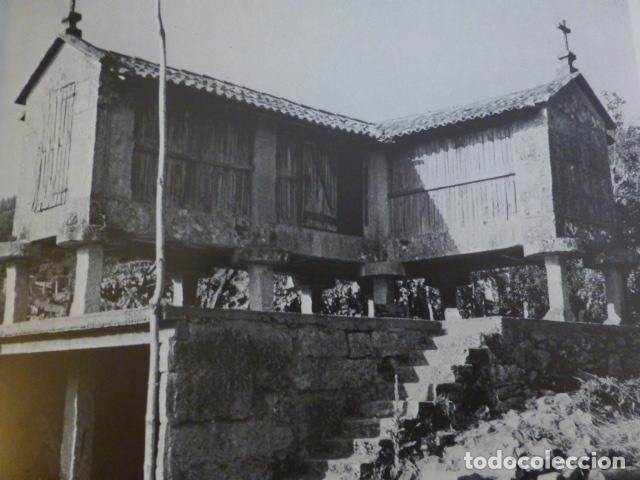 Collectionnisme: SIMES PONTEVEDRA ANTIGUA LAMINA