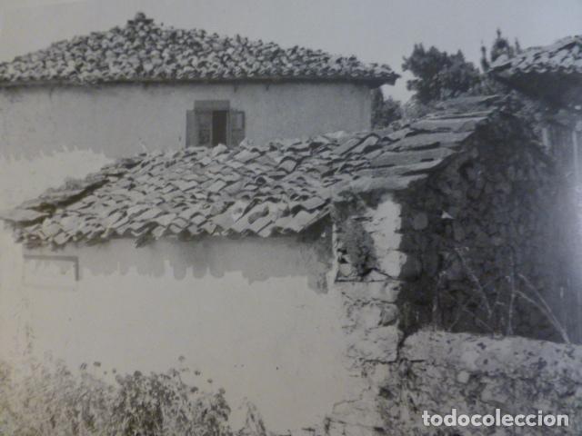 Collectionnisme: BALLOTA ASTURIAS ANTIGUA LAMINA
