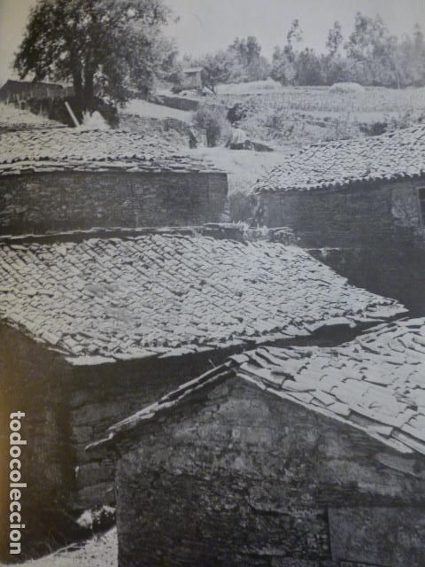 Collectionnisme: PUENTE CARREIRA LA CORU&Ntilde;A ANTIGUA LAMINA