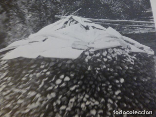 Collecting paper: BOVEDA LUGO ANTIGUA LAMINA