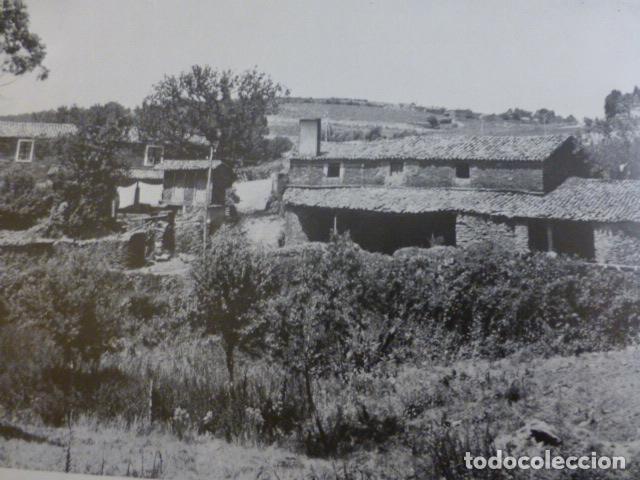 Collectionnisme: PUENTE CARREIRA LA CORU&Ntilde;A ANTIGUA LAMINA