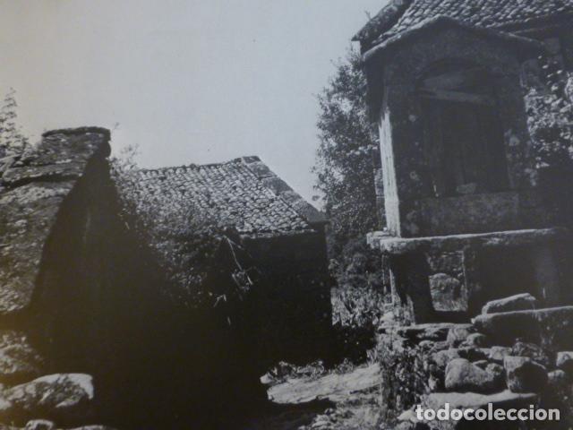 Collectionnisme: LAMOSA PONTEVEDRA ANTIGUA LAMINA