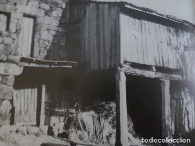 Coleccionismo: CORTEGADA ORENSE ANTIGUA LAMINA - Foto 1