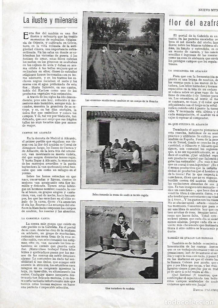 Collecting paper: A&Ntilde;O 1929 RECORTE PRENSA LA FLOR DEL AZAFRAN RECOLECCION EN LA MANCHA LAS ROSERAS GABRIELA