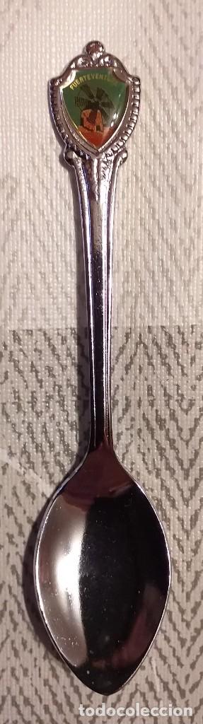 Collecting: CUCHARILLA DE FUERTEVENTURA