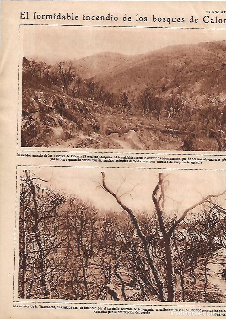 Sammelleidenschaft Papier: A&Ntilde;O 1929 RECORTE PRENSA INCENDIO EN LOS BOSQUES DE CALONGE MONTES DE LA VIZCONDESA EMPORDA GIRONA