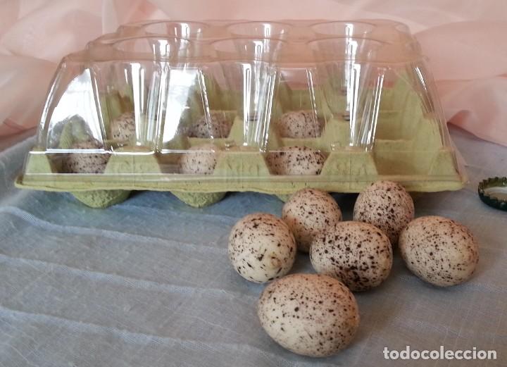 Coleccionismo: Huevos de Codorniz. Imitaci&oacute;n alimentos. 12 unidades.