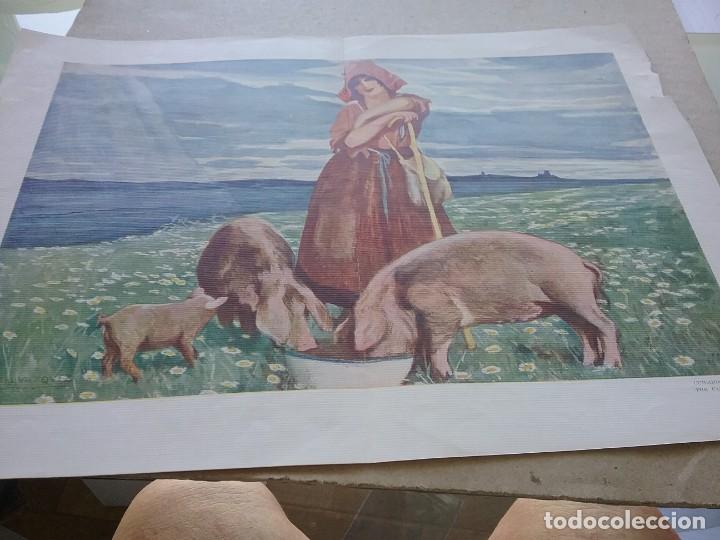 Coleccionismo: L&aacute;mina.CUIDANDO EL GANADO. Carlos V&aacute;zquez. Principios s.xx (424)