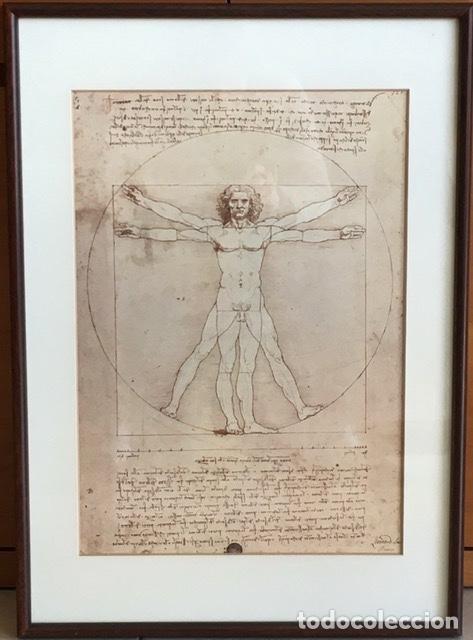 Coleccionismo: Poster del Iconic Vitruvian Man de Leonardo