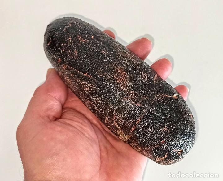 Coleccionismo: Replica huevo de OVIRAPTOR PHILOCERATOPS - Foto 1