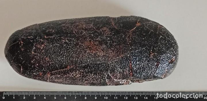 Coleccionismo: Replica huevo de OVIRAPTOR PHILOCERATOPS - Foto 6