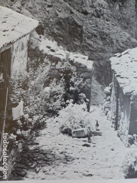Collecting paper: MASCA TENERIFE ANTIGUO HUECOGRABADO