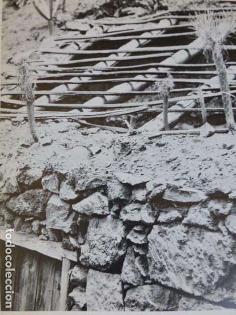 Collectionnisme: MASCA TENERIFE ANTIGUO HUECOGRABADO