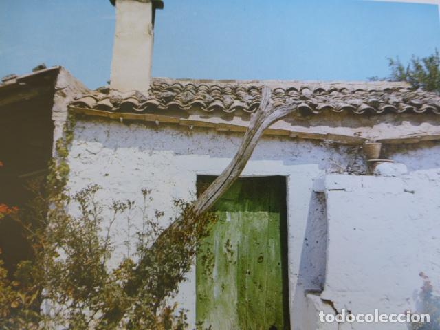 Collecting paper: PETRA MALLORCA ANTIGUO HUECOGRABADO