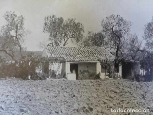 Collezionismo: SINEU MALLORCA ANTIGUO HUECOGRABADO